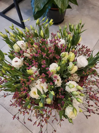 Kwiaciarium Łodyga Aleksandra Jaworska